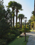 Z-Lite Rainer 5 Light Outdoor Post Mounted Fixture in Black Finish Model: 5015PHXLR-5010P-BK