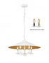 Z-Lite Rialto 5 Light Pendant in Matte Black Finish Model: 1953-22MB
