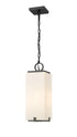 Z-Lite Sana 1 Light Outdoor Chain Mount Ceiling Fixture in Black Finish Model: 592CHM-BK