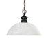 Z-Lite Shark 1 Light Pendant in Brushed Nickel Finish Model: 100701BN-DMO14