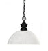Z-Lite Shark 1 Light Pendant in Brushed Nickel Finish Model: 100701BN-DMO14