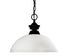 Z-Lite Shark 1 Light Pendant in Brushed Nickel Finish Model: 100701BN-DMO14