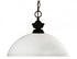 Z-Lite Shark 1 Light Pendant in Brushed Nickel Finish Model: 100701BN-DMO14