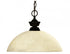 Z-Lite Shark 1 Light Pendant in Brushed Nickel Finish Model: 100701BN-DMO14