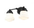 Z-Lite Vaughn 2 Light Vanity in Brushed Nickel Finish Model: 735-2V-BN