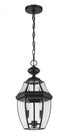 Z-Lite Westover 2 Light Outdoor Chain Mount Ceiling Fixture in Black Finish Model: 580CHM-BK