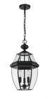 Z-Lite Westover 3 Light Outdoor Chain Mount Ceiling Fixture in Black Finish Model: 580CHB-BK