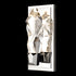 ZEEV Lighting Angelus LED 1 Light Crystal Vertical Wall Sconce in Polished Nickel Model: WS11407-LED-1-PN