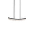 Zeev Lighting ARCUS 1 Light LED 3CCT 32 Inch Unique Curved Crystal in Aged Brass Linear Pendant Light Model: PL11609-LED-32-AGB