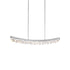 ZEEV Lighting ARCUS LED 3CCT 48 Inch Unique Curved Crystal in Aged Brass Linear Pendant Light Model: PL11613-LED-48-AGB