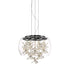 Zeev Lighting DESTINY 8 Light LED 16 Inch Clear Glass Dome Shade Pendant Light in Aged Brass Finish Model: P30110-LED-AGB