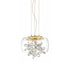 Zeev Lighting DESTINY 8 Light LED 16 Inch Clear Glass Dome Shade Pendant Light in Aged Brass Finish Model: P30110-LED-AGB