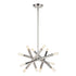 ZEEV Lighting MANDELORIAN 12 Light 32 Inch Inch Adjustable Satin Brushed Black Sputnik Chandelier in Matte Black Finish Model: CD10038-12-MBK