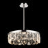 ZEEV Lighting Odraz 24 Inch Infused Clear Crystal LED Pendant in Polished Nickel Model: P11802-LED-24-PN