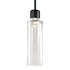 ZEEV Lighting ZIGRINA 10 Inch LED 3CCT Clear Dome Glass Pendant Light and in Satin Brushed Black with Nickel Metal Finish Model: P11704-LED-SBB-K-PN-G12