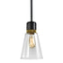 ZEEV Lighting ZIGRINA 3 Inch LED 3CCT Vertical Cylindrical Pendant Light 12 Inch Clear Glass and in Aged Brass Finish Model: P11701-LED-AGB-G1