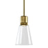 ZEEV Lighting ZIGRINA 3 Inch LED 3CCT Vertical Cylindrical Pendant Light 12 Inch Clear Glass and in Aged Brass Finish Model: P11701-LED-AGB-G1