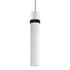 ZEEV Lighting ZIGRINA 8 Inch E26 Clear Globe Glass Pendant Light and in Matte White with Black Metal Finish Model: P11706-E26-MW-K-SBB-G11