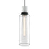 ZEEV Lighting ZIGRINA 8 Inch E26 Clear Globe Glass Pendant Light and in Matte White with Black Metal Finish Model: P11706-E26-MW-K-SBB-G11