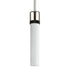 ZEEV Lighting ZIGRINA 8 Inch E26 Clear Globe Glass Pendant Light and in Polished Nickel with Black Metal Finish Model: P11707-E26-PN-K-SBB-G11