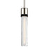 ZEEV Lighting ZIGRINA 8 Inch E26 Clear Globe Glass Pendant Light and in Polished Nickel with Black Metal Finish Model: P11707-E26-PN-K-SBB-G11