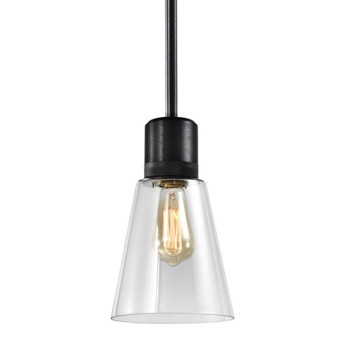 ZEEV Lighting ZIGRINA 8 Inch E26 Clear Globe Glass Pendant Light and in Satin Brushed Black Metal Finish Model: P11708-E26-SBB-G11