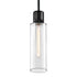 ZEEV Lighting ZIGRINA 8 Inch E26 Clear Globe Glass Pendant Light and in Satin Brushed Black Metal Finish Model: P11708-E26-SBB-G11