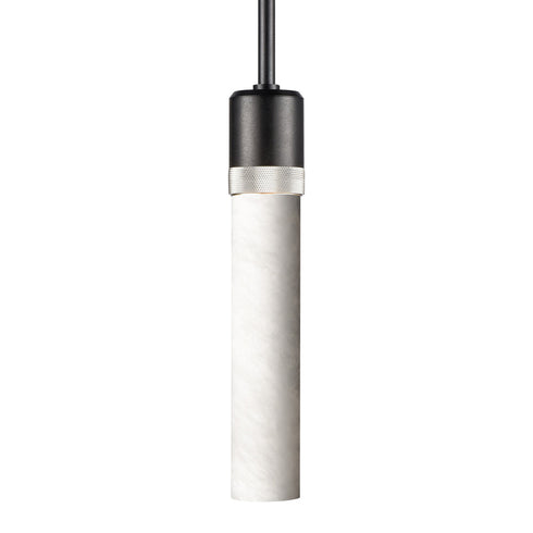 ZEEV Lighting ZIGRINA 8 Inch E26 Clear Globe Glass Pendant Light and in Satin Brushed Black with Nickel Metal Finish Model: P11708-E26-SBB-K-PN-G11