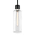 ZEEV Lighting ZIGRINA 8 Inch E26 Clear Globe Glass Pendant Light and in Satin Brushed Black with Nickel Metal Finish Model: P11708-E26-SBB-K-PN-G11