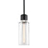 ZEEV Lighting ZIGRINA 8 Inch E26 Clear Globe Glass Pendant Light and in Satin Brushed Black with Nickel Metal Finish Model: P11708-E26-SBB-K-PN-G11
