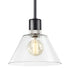ZEEV Lighting ZIGRINA 8 Inch E26 Clear Globe Glass Pendant Light and in Satin Brushed Black with Nickel Metal Finish Model: P11708-E26-SBB-K-PN-G11