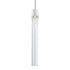 ZEEV Lighting ZIGRINA 8 Inch LED 3CCT Clear Globe Glass Pendant Light and in Matte White with Nickel Metal Finish Model: P11702-LED-MW-K-PN-G11