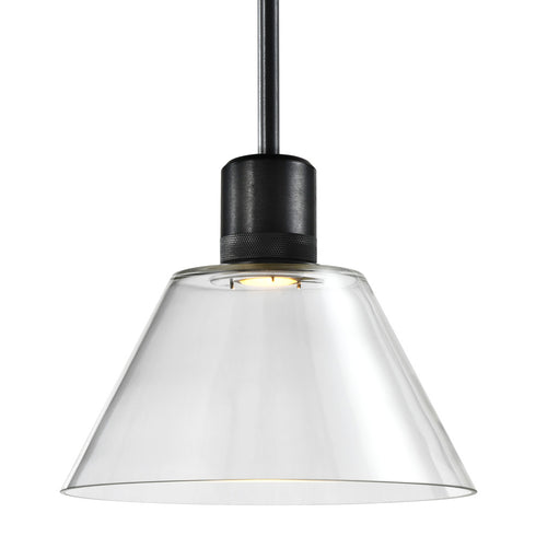 ZEEV Lighting ZIGRINA 8 Inch LED 3CCT Clear Globe Glass Pendant Light and in Satin Brushed Black Metal Finish Model: P11704-LED-SBB-G11