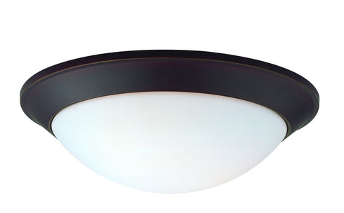 5401-78 Dolan Designs Rainier 1 Light Flushmount Bolivian