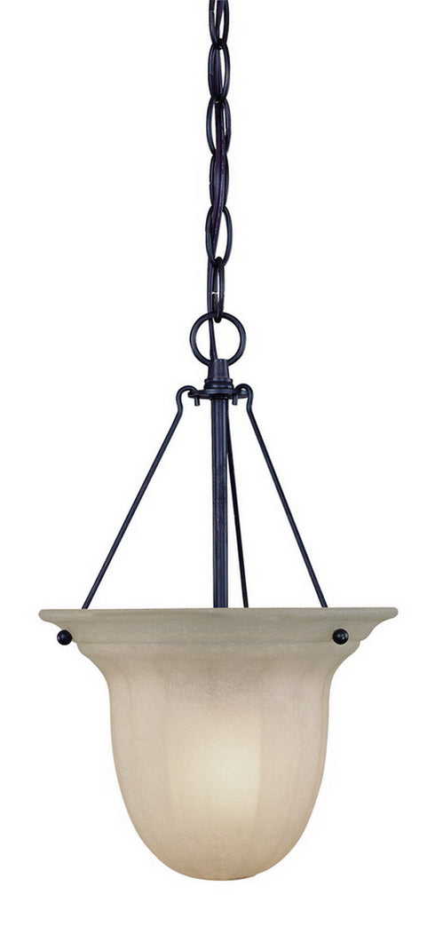 661-78 Dolan Designs Richland 1 Light Pendant Bolivian