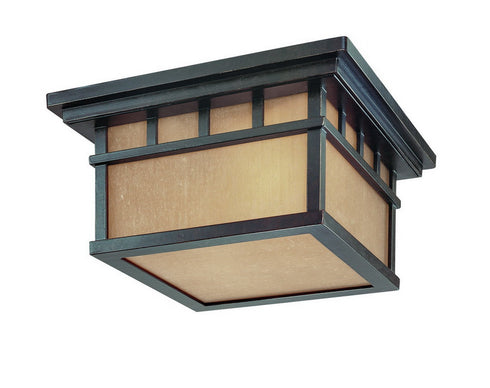9119-68 Dolan Designs Barton 2 Light Ceiling Winchester