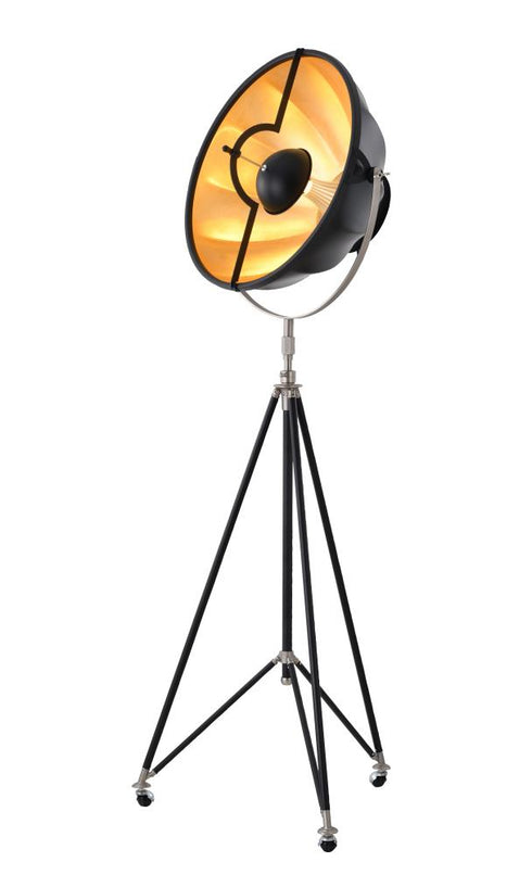 Bethel International 1 Light Floor Lamp Model: DLS74F23B