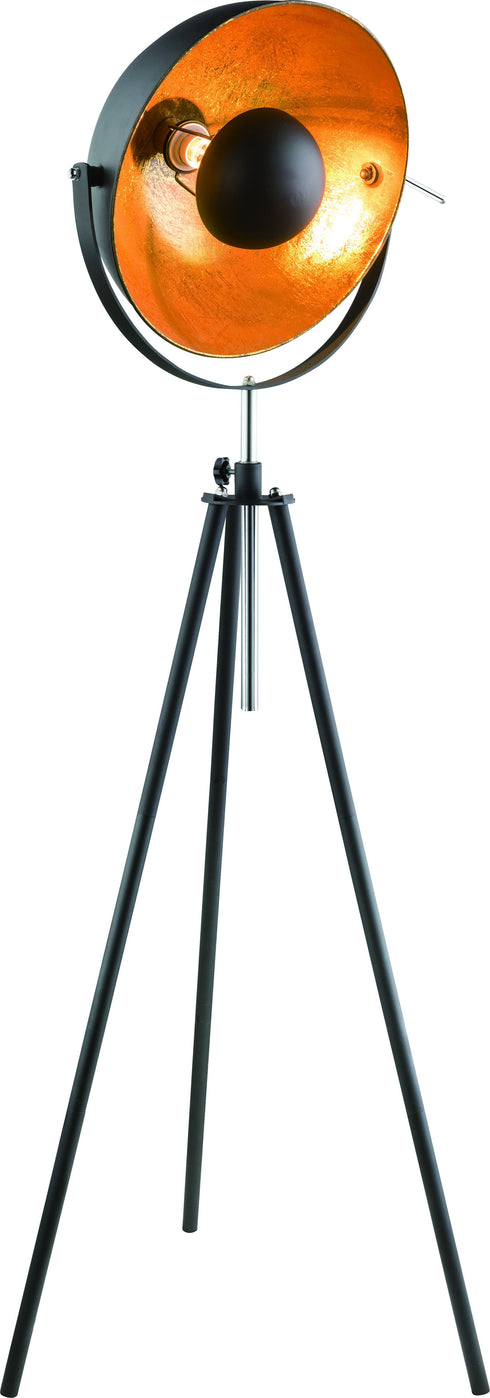 Bethel International 1 Light Floor Lamp Model: JFL141KY-BLK
