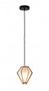 Bethel International 1 Light Pendant Model: LC05P6G