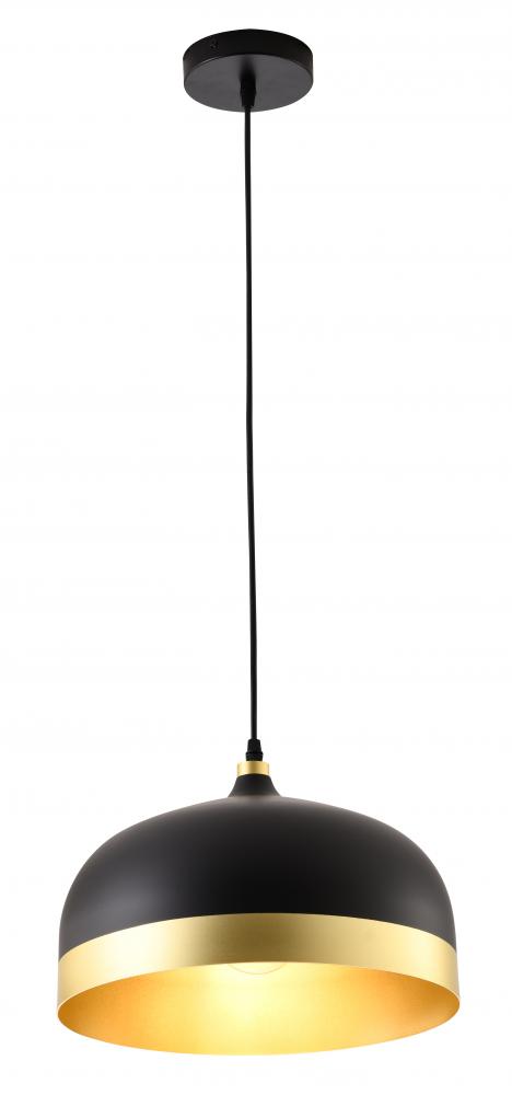 Bethel International 1 Light Pendant Model: SR05BG