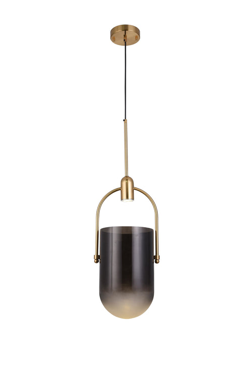 Bethel International 1 Light Single Pendant Lighting Model: DU154P21G