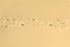 Craftmade 2 Inch Caribbean Brass Model: COUPLER-CB