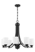 Craftmade Bolden 8 Light Chandelier Model: 50528-FB