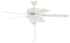 Craftmade Decorator's Choice Bowl Light Kit Model: DCF52ESP5C1W