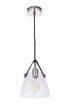 Craftmade Hagen 1 Light Pendant Model: 51391-PLN