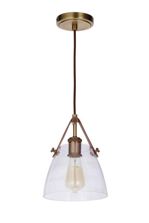 Craftmade Hagen 1 Light Pendant Model: 51391-PLN