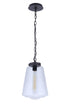 Craftmade Laclede Model: ZA3821-MN