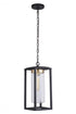 Craftmade Neo Model: ZA4821-MN