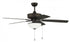 Craftmade Outdoor Pro Plus 211 Model: OP211ESP5