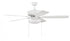Craftmade Pro Plus 119 Model: P119BN5-52BNGW